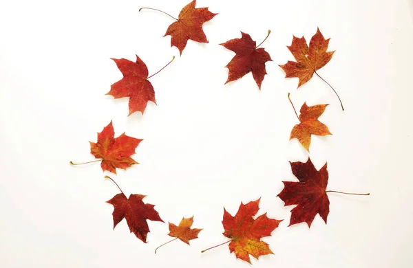 Marco hecho de hojas de otoño —  Fotos de Stock