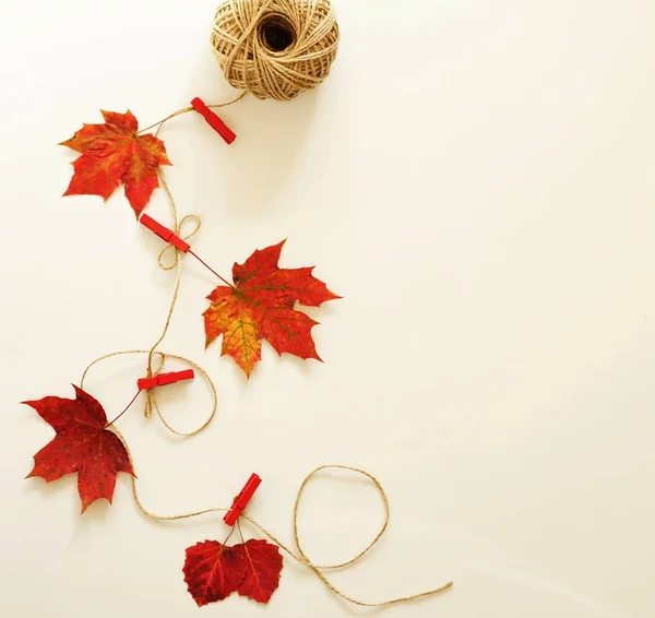 Composição de outono de folhas — Fotografia de Stock