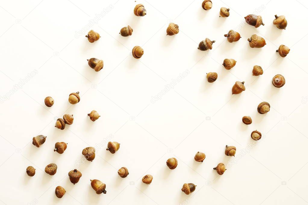 Frame of acorns on white background