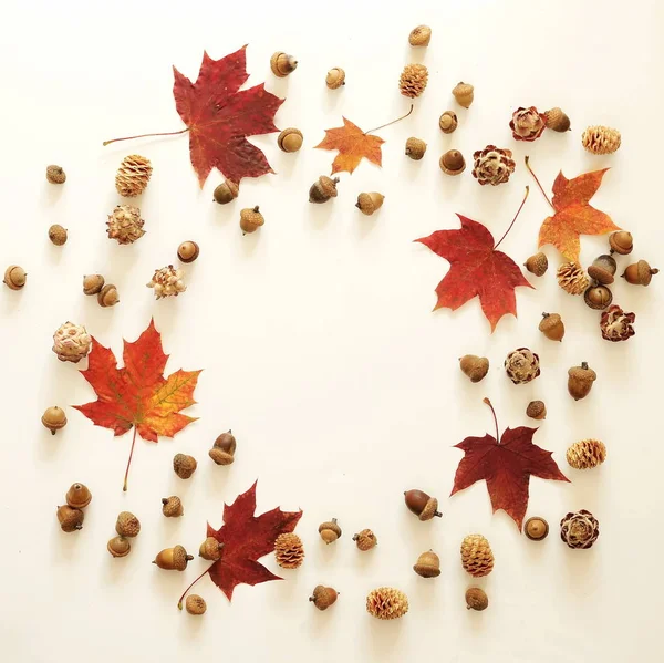 Composição de outono feita de folhas de outono e bolotas — Fotografia de Stock