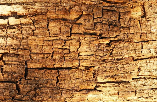 Eski Ahşap Arkaplan