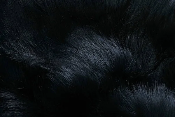 black natural fur background
