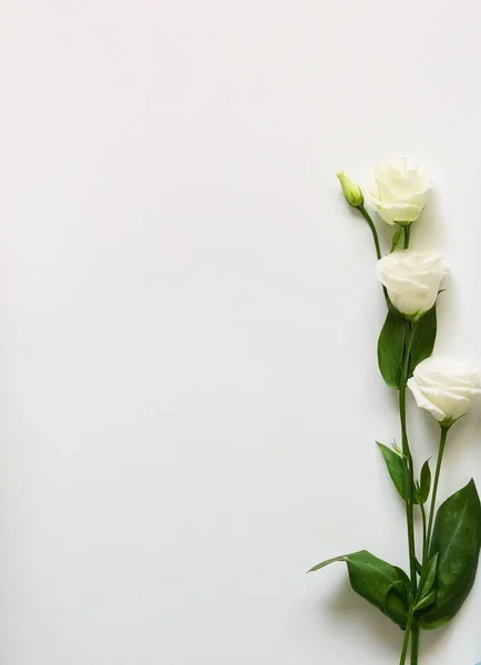 白い花の花束 — ストック写真