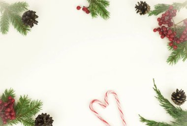Noel çerçeve yaptı çam dalları, kırmızı meyveler, koniler