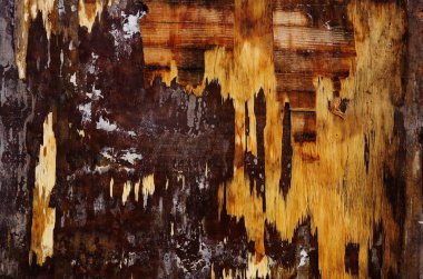 Ahşap doku arkaplanı