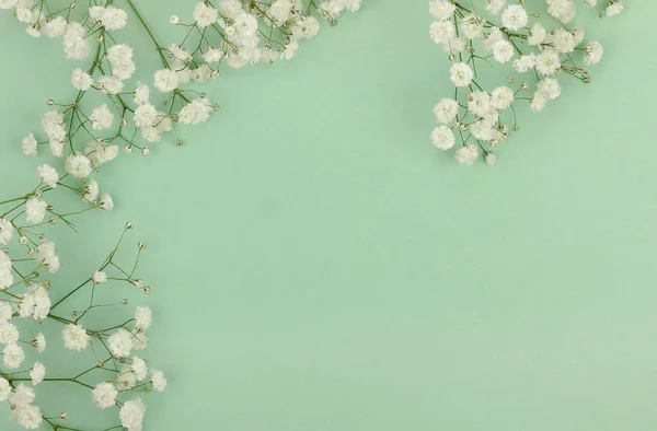 Een witte gypsophila bloemen boeketten — Stockfoto