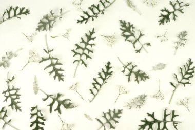 yeşil yaprakları ve gypsophila çiçek deseni