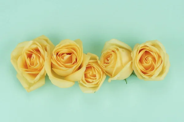 Gele rozen op de achtergrond van een bleke mint — Stockfoto