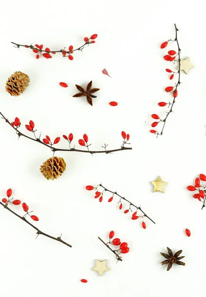 小枝と白い背景のメギ コーンとアニスの星のベリーのクリスマス組成パターン背景 トップ ビュー — ストック写真