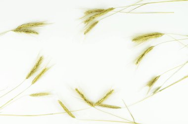 Kuru çerçevesinden deseni beyaz arka plan üzerinde gönderiyor. Üstten Görünüm. Kopya alanı