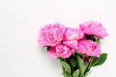Beyaz bir arka plan üzerinde pembe peonies güzel buket. Tatil kavramı. Kopya alanı