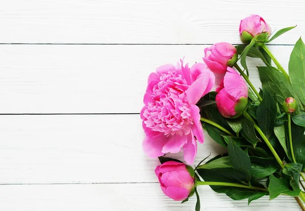 Hermoso Ramo Peonías Rosadas Sobre Fondo Blanco Concepto Vacaciones Copiar — Foto de Stock