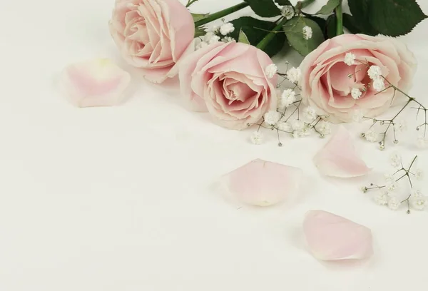 Blomsterarrangemang Rosa Rosor Och Blad Vit Bakgrund Holiday Koncept Kopiera — Stockfoto