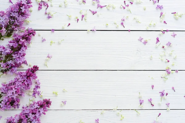 Virágmintás Lila Egyéb Tavaszi Virágok Fehér Háttér Fiókintézetének Felülnézet Lapos — Stock Fotó