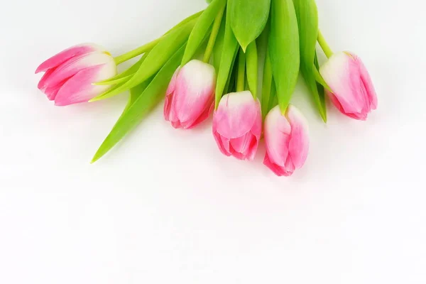 白色背景上美丽的粉红色郁金香的花束 顶部视图 复制空间 假日背景 — 图库照片