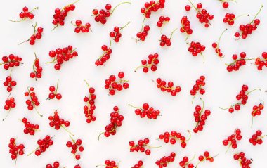 beyaz zemin üzerine kırmızı kuş üzümü çilek deseni. Üstten Görünüm. kopya alanı