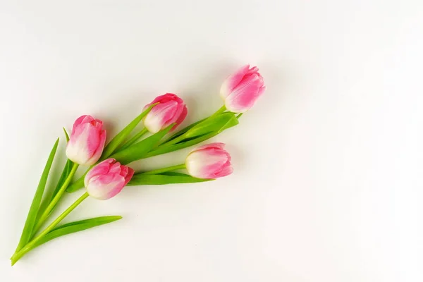 Bouquet Tulipes Roses Sur Fond Blanc Concept Vacances Espace Copie — Photo