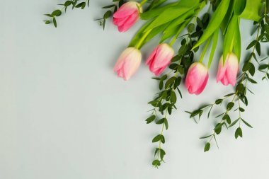 güzel pembe laleler ve yukarıdan okaliptüs soluk mavi zemin üzerine yeşil twigs buket. Üstten Görünüm. kopya alanı