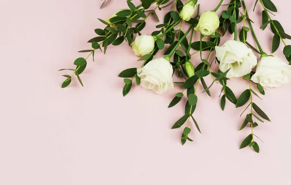 Fond Fleurs Branches Eucalyptus Vert Fleurs Blanches Sur Fond Rose — Photo