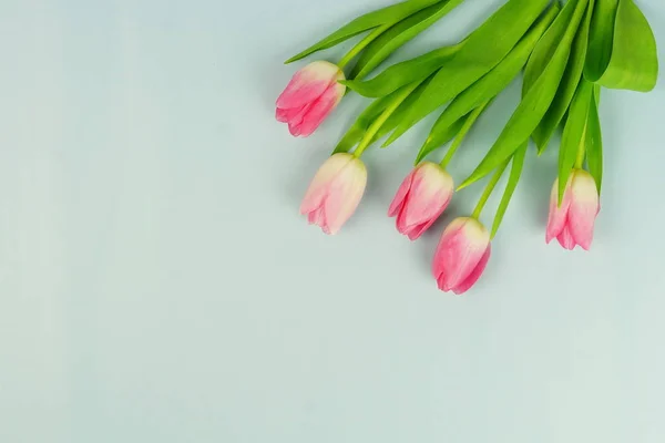 Belo Buquê Tulipas Rosa Acima Fundo Azul Pálido Conceito Férias — Fotografia de Stock