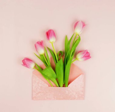 Soluk pembe bir arka plan üzerinde pembe bir zarf içinde güzel Pembe Lale buketi. Tatil arka plan. Üstten Görünüm. Kopya alanı