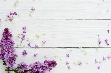 Çiçek desenli, leylak ve diğer bahar çiçekleri Beyaz ahşap zemin üzerinde bir dalı. Üstten Görünüm. düz yatıyordu. Tatil kavramı. Kopya alanı