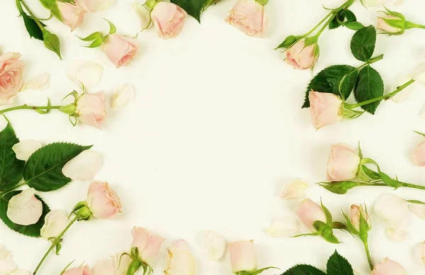 Quadro Belas Rosas Rosa Pálidas Fundo Branco Conceito Férias Espaço — Fotografia de Stock