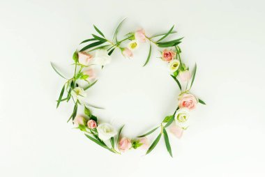 Çiçekler arka plan. Pembe ve mor çiçekler ve okaliptüs dalları beyaz bir arka plan üzerinde çelenk çerçeve yaptı. Düz yatıyordu. Üstten Görünüm. kopya alanı