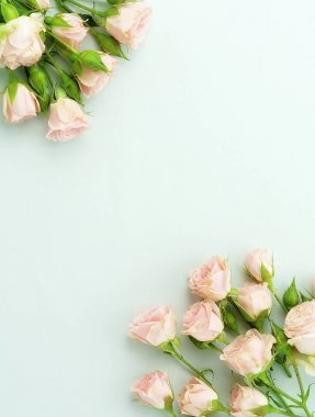 Çiçekler arka plan. Pembe Gül çiçek soluk mavi arka plan üzerinde çerçeve yaptı. Düz yatıyordu. Üstten Görünüm. kopya alanı