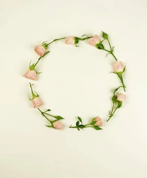 Bloemen Achtergrond Krans Frame Gemaakt Van Roze Rozen Een Witte — Stockfoto