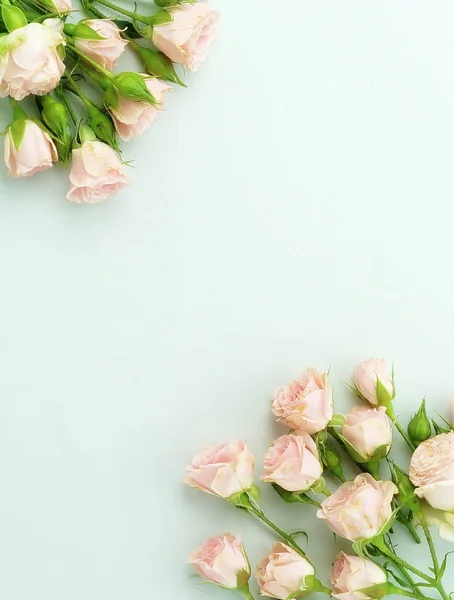 Λουλούδια Φόντο Πλαίσιο Κατασκευασμένο Από Λουλούδια Ροζ Τριαντάφυλλα Απαλό Μπλε — Φωτογραφία Αρχείου