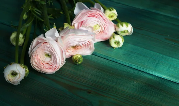 Bukett Med Vackra Fina Blek Rosa Blommor Ranunculus Ett Grönt — Stockfoto