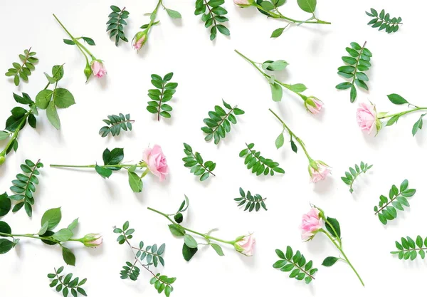 Virág Mintás Háttérrel Készült Halvány Rózsaszín Rózsa Virágok Pisztácia Fehér — Stock Fotó