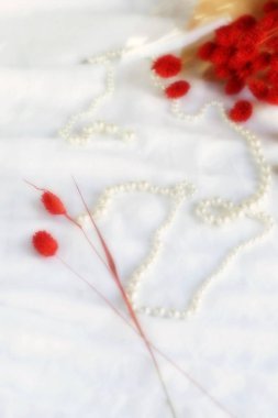 Blure etkisi, yumuşak odak. Kolye beyaz zemin üzerine kırmızı dallar Kuru