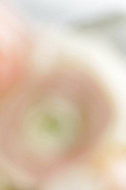 güzel pastel çiçek bulanıklık etkisi, yumuşak odak arka plan