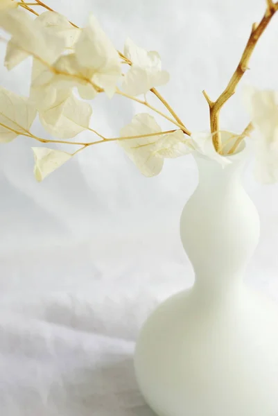 Dry pale yellow eucalyptus branches in vase on a white linen background.Copy space