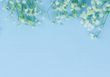 Çiçekler arka plan. soluk mavi zemin üzerine beyaz gypsophila Çiçek demetleri. Üstten Görünüm. kopya alanı. Tatil kavramı. Pastel renkler