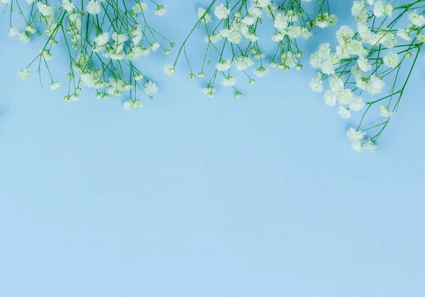 Květiny Pozadí Kytice Bílých Gypsophila Květina Světle Modrém Pozadí Pohled — Stock fotografie