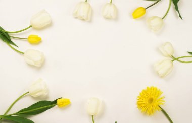 Çiçekler arka plan. Güzel beyaz ve Sarı laleler hafif bir arka plan üzerine çerçeve. Üstten Görünüm. Kopya alanı