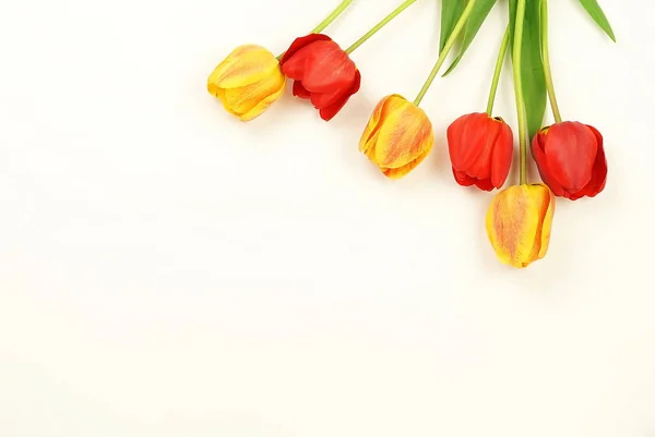 Flowers Background Bouquet Beautiful Red Yellow Tulips White Background Top — Stock Photo, Image
