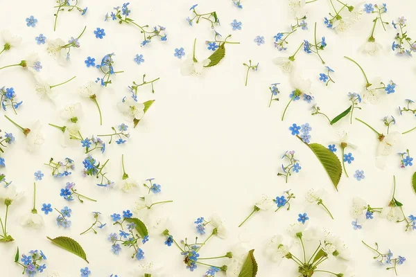 Virágok Háttér Keret Minta Fehér Alapon Kék Fehér Tavaszi Virágok — Stock Fotó
