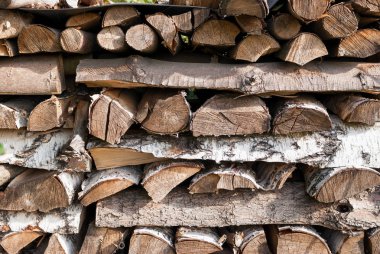 Eski ahşap kabuk dokusu