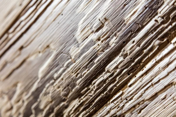 Textura de madera vieja — Foto de Stock