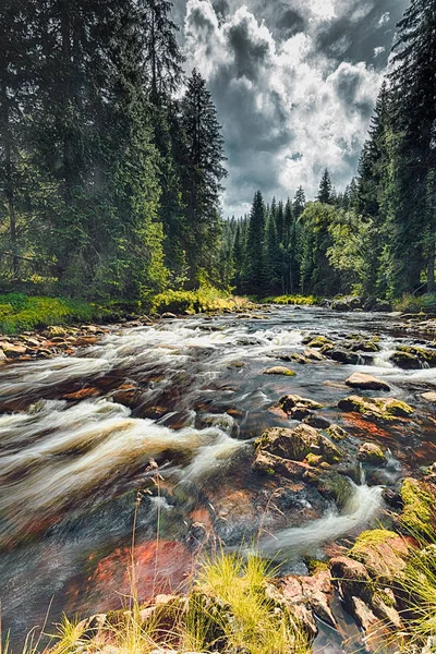 Río corre sobre rocas en el bosque primitivo — Foto de Stock