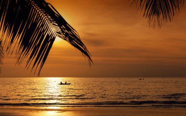 Palmiye ağacı ile sahilde güzel gün batımı