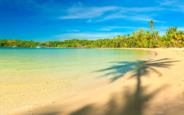 Beautiful tropical beach with palm trees, white sand, turquoise ocean water and blue sky — Stock Photo, Image