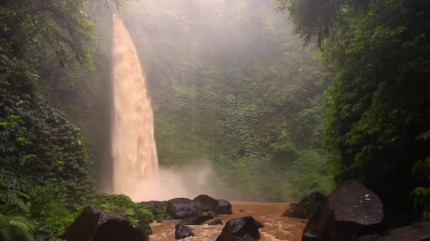 Балийский водопад, видео — стоковое видео