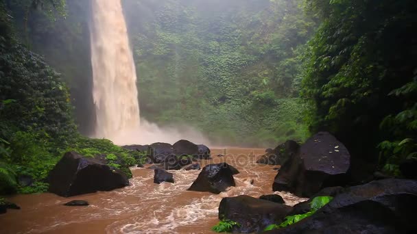 Bali wasserfall, video — Stockvideo