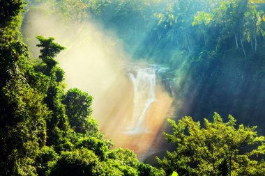 Waterfall beautiful Bali, Indonesia clipart