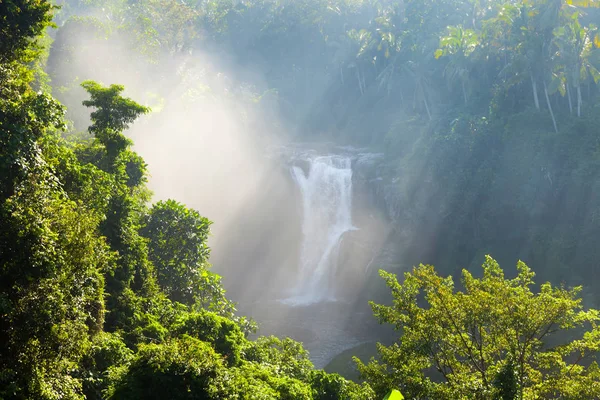 Waterfall beautiful Bali, Indonesia — Stock Photo, Image